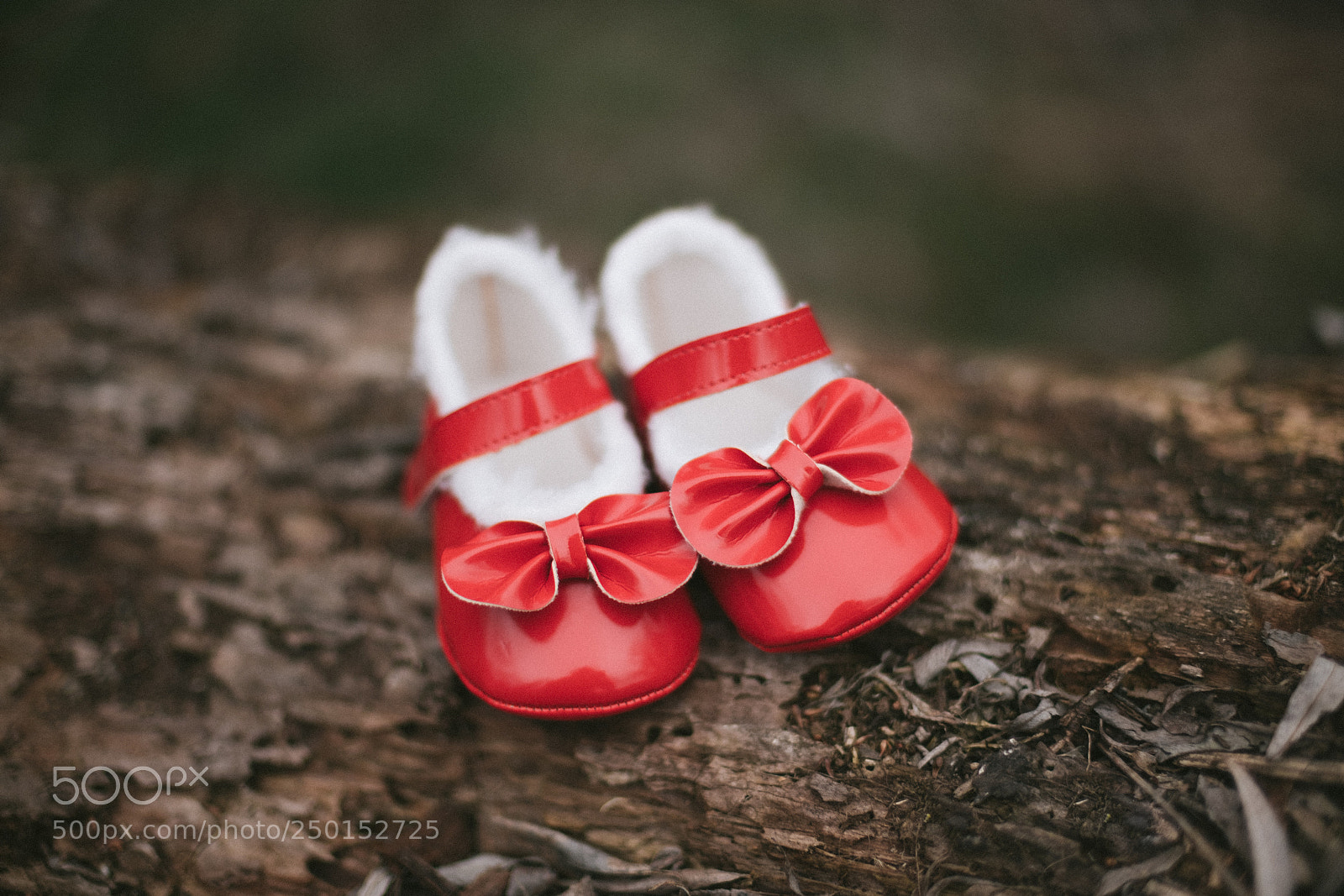 Fujifilm X-Pro2 sample photo. Newborn shoes photography