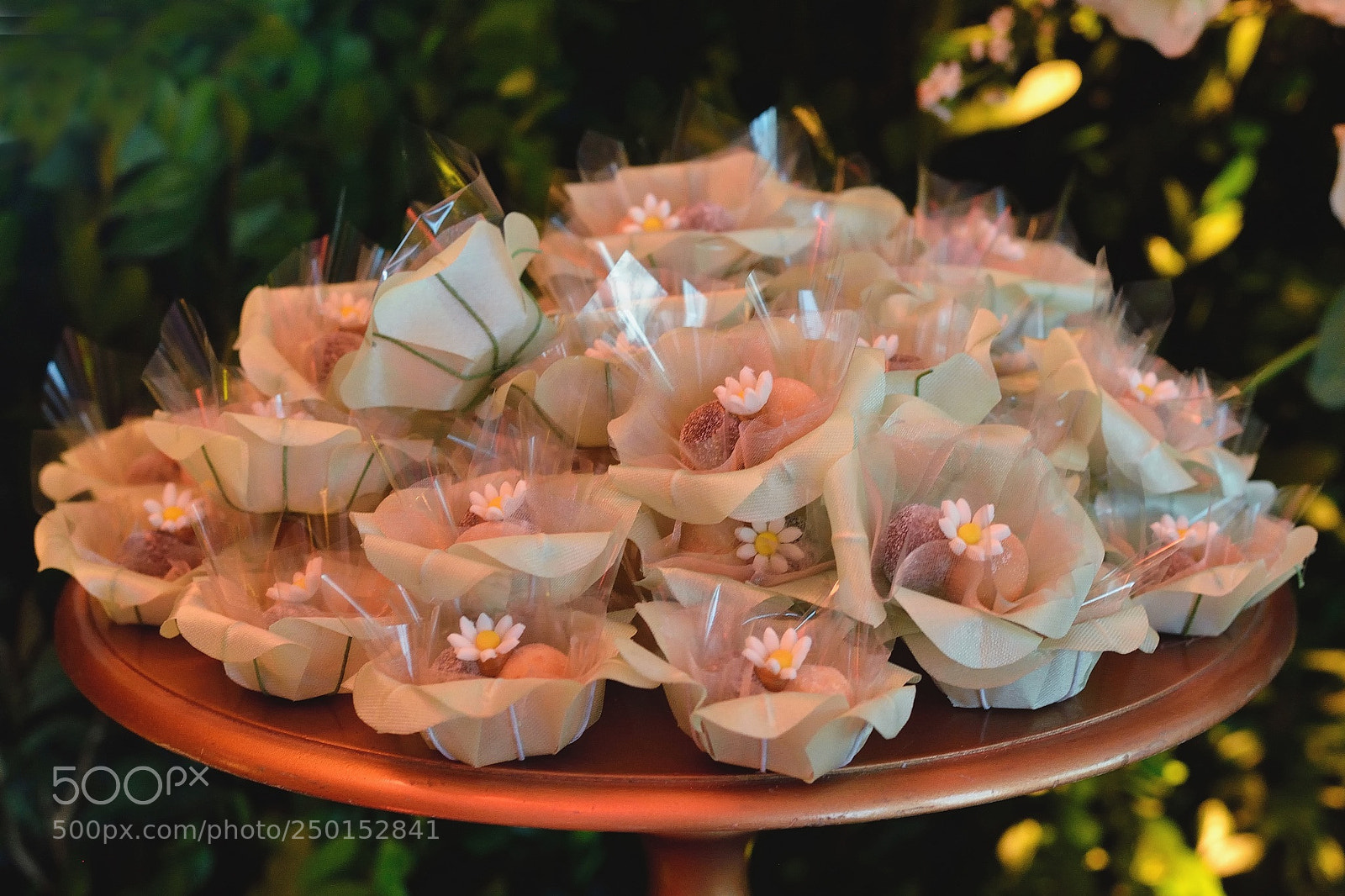 Nikon D600 sample photo. Carmem & ricardo photography