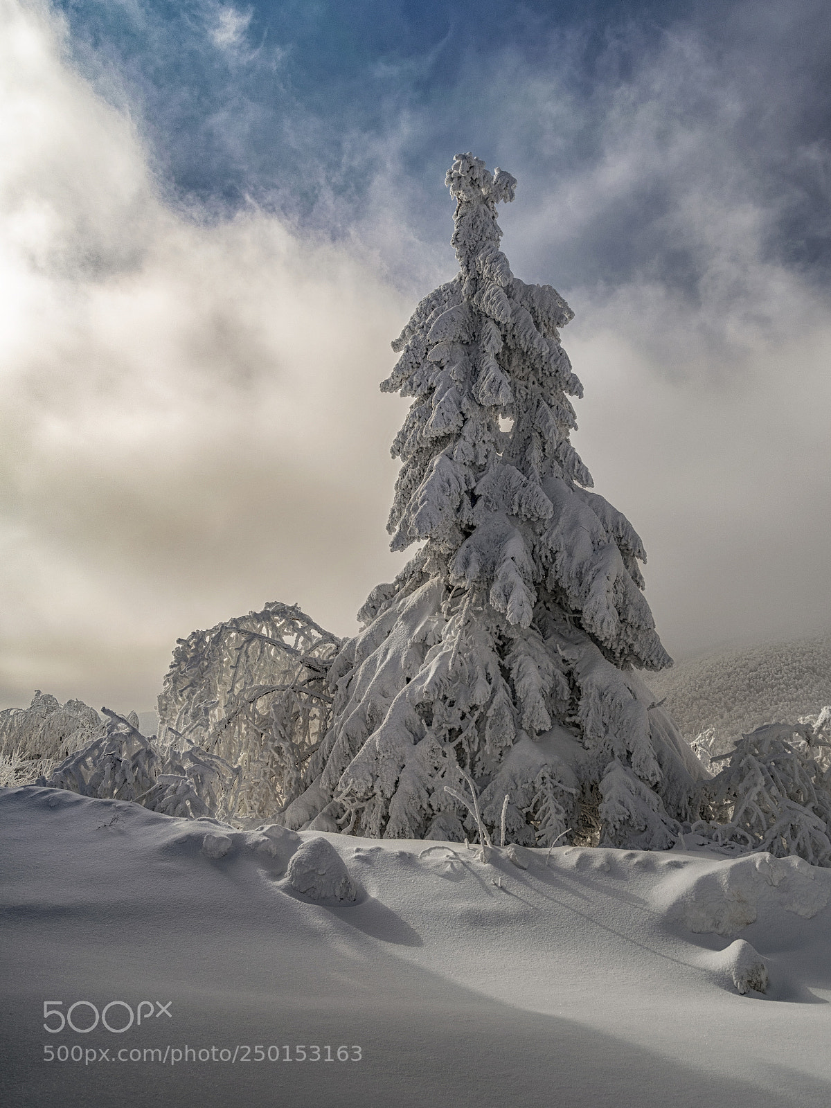 Nikon D5300 sample photo. Winter photography