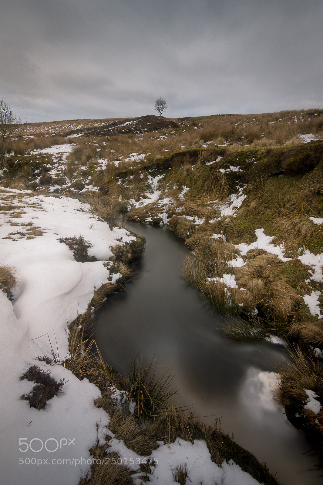 Canon EOS 60D sample photo. Frosty stream photography