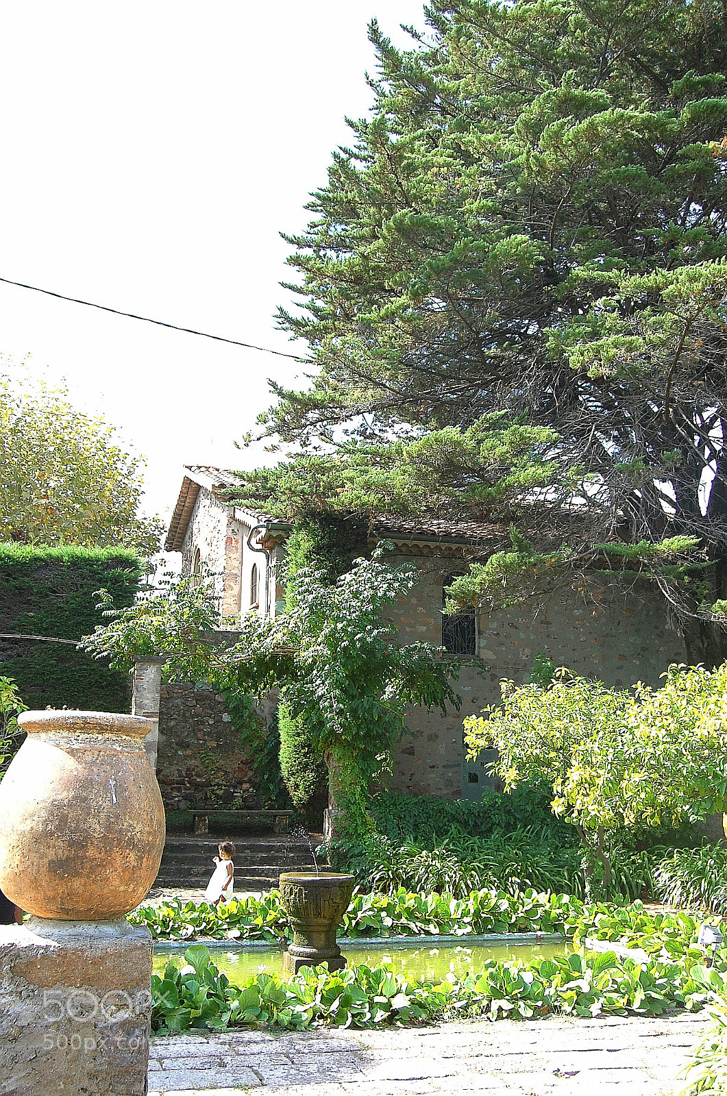 Nikon D40 sample photo. Ninfa photography