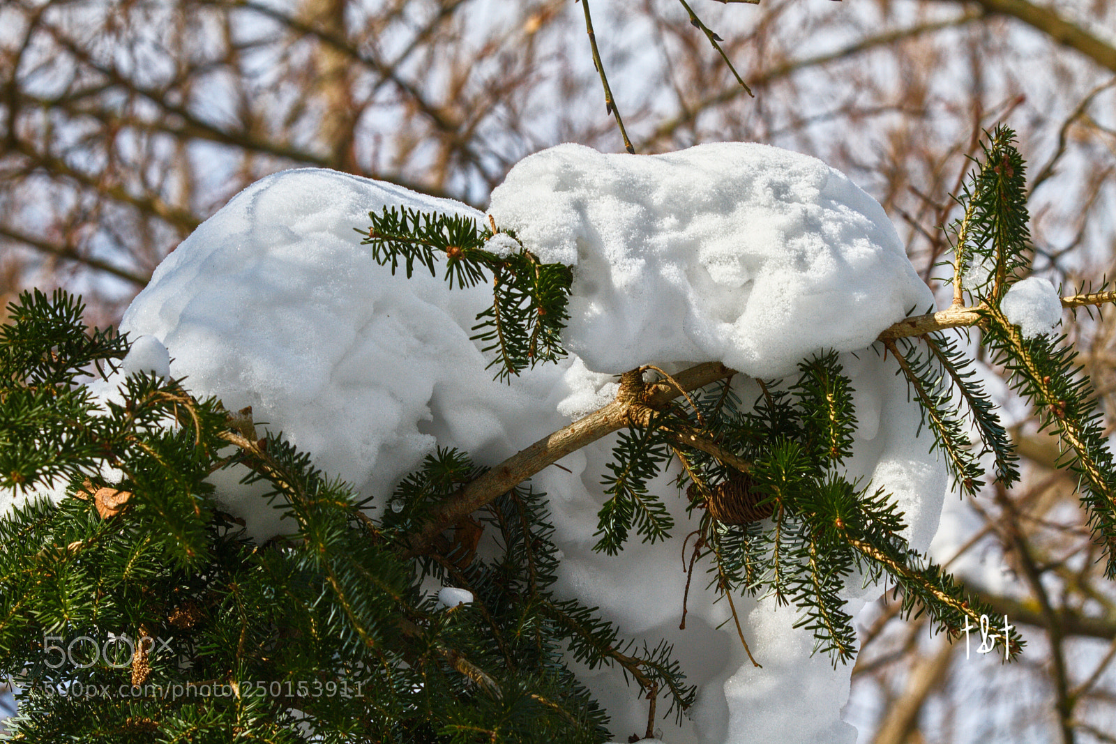 Canon EOS 7D sample photo. Untitled photography
