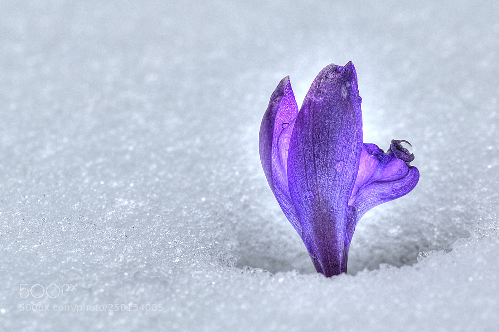 Canon EOS 70D sample photo. Img_6206-1.jpg photography