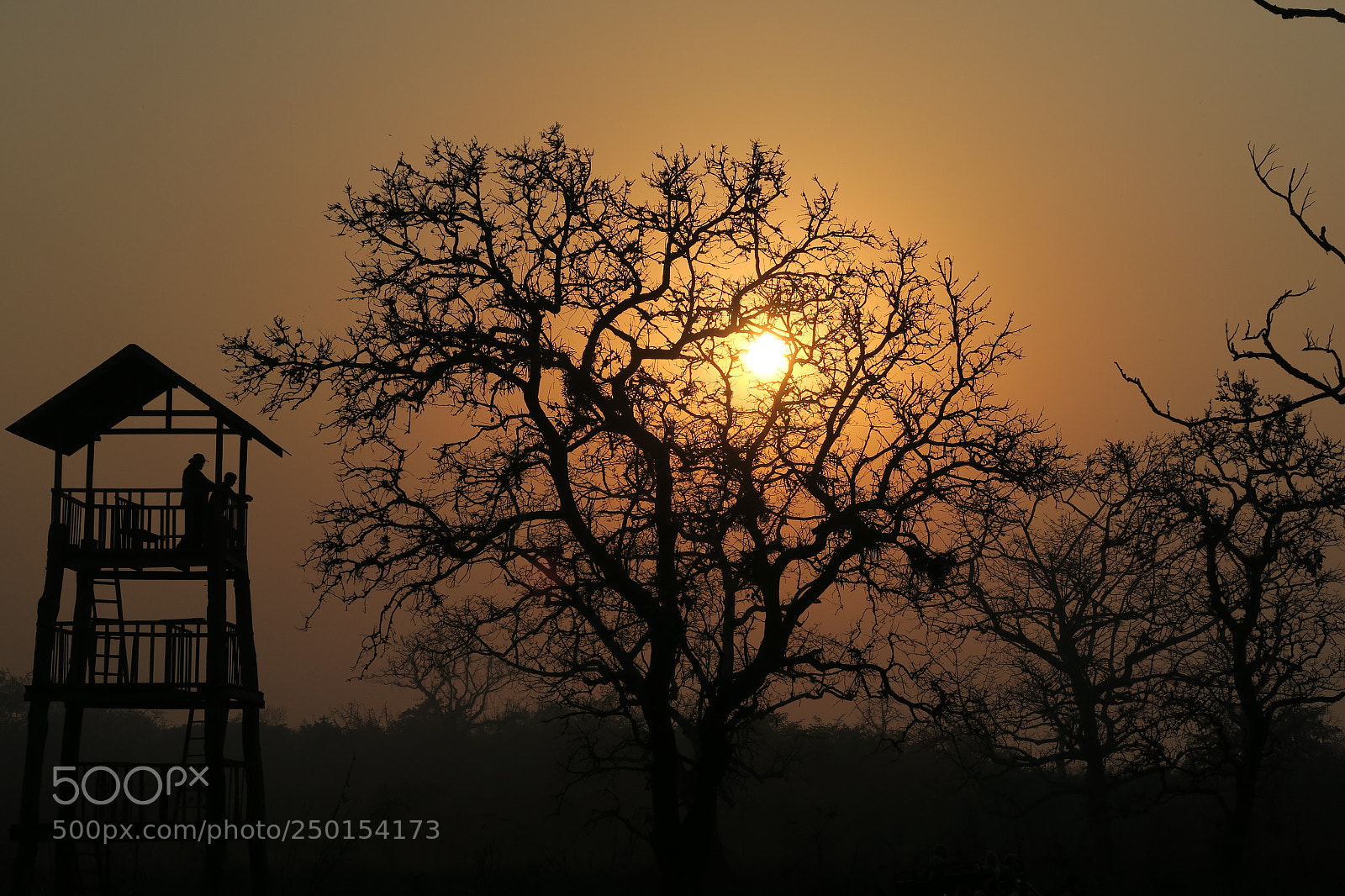 Canon PowerShot G7 X sample photo. Sunset in chitwan national photography
