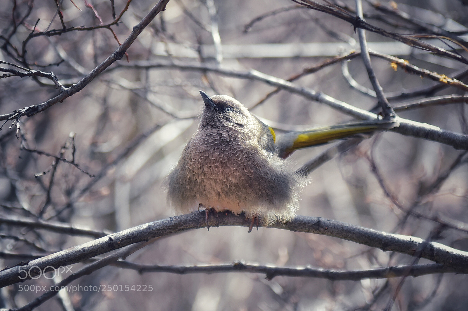 Nikon D810 sample photo. Untitled photography