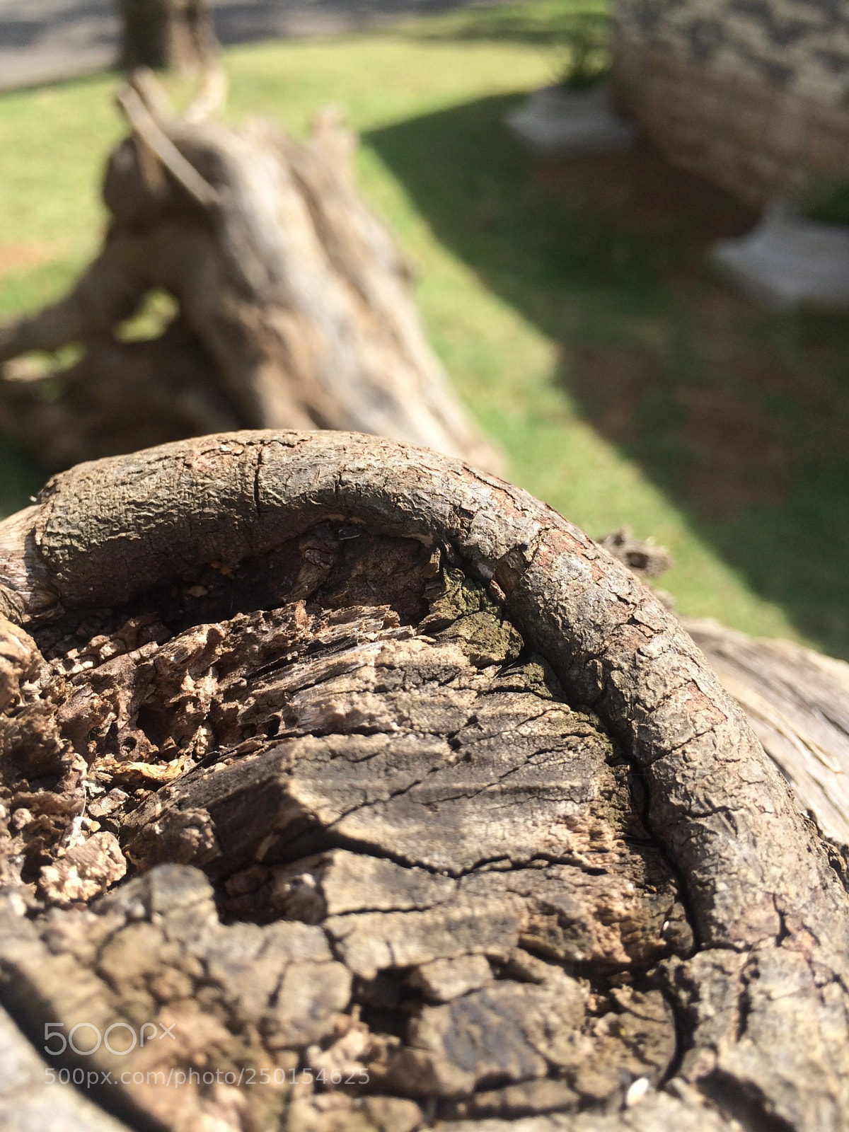 Apple iPhone 5s sample photo. Untitled photography