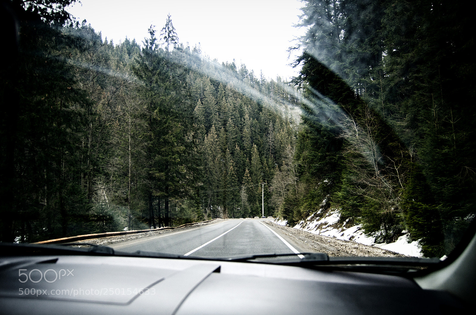 Nikon D7000 sample photo. Forest road photography