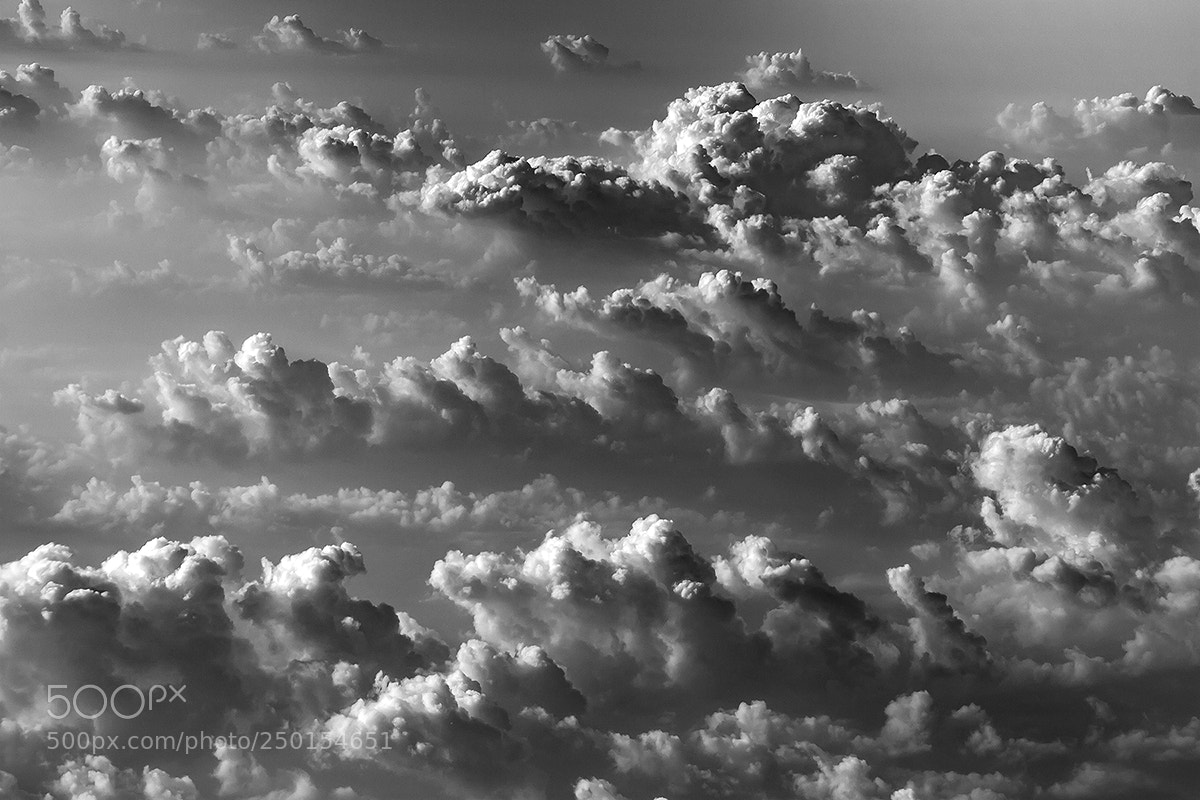 Canon EOS 500D (EOS Rebel T1i / EOS Kiss X3) sample photo. Life above the clouds photography