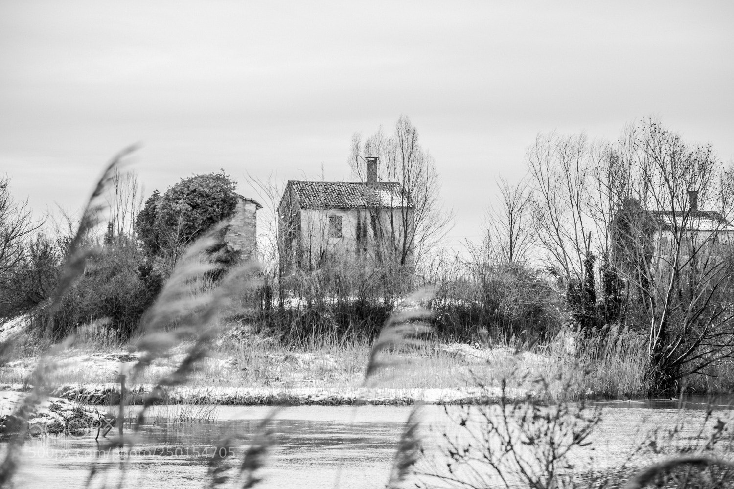 Nikon D5500 sample photo. Neve... photography