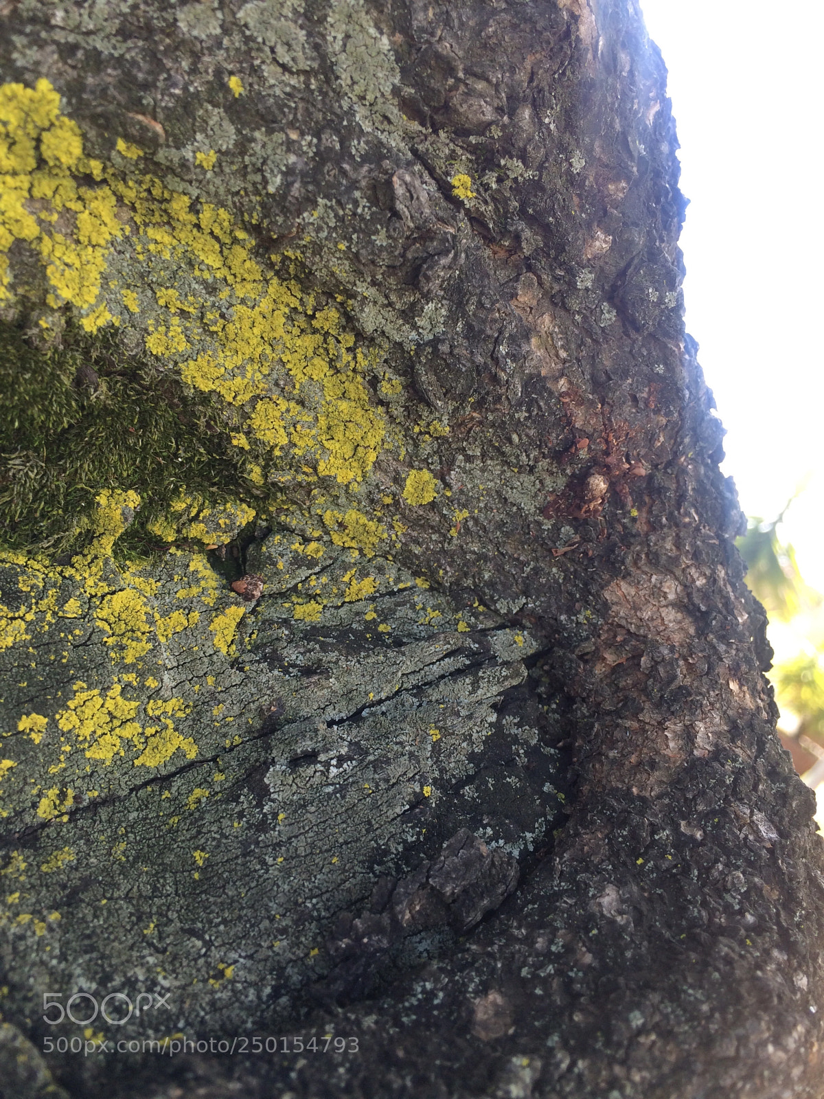 Apple iPhone 5s sample photo. Untitled photography