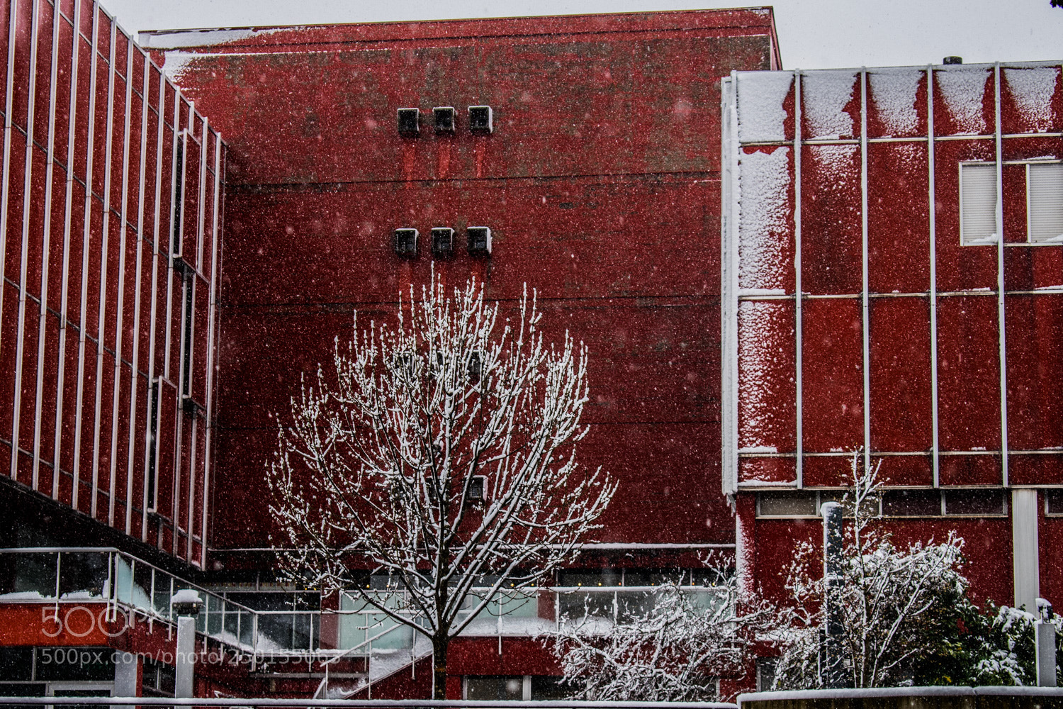 Nikon D5500 sample photo. Rosso... e bianco photography
