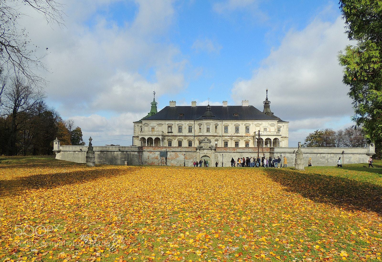 Nikon Coolpix P510 sample photo. Pidhirtsi castle. photography