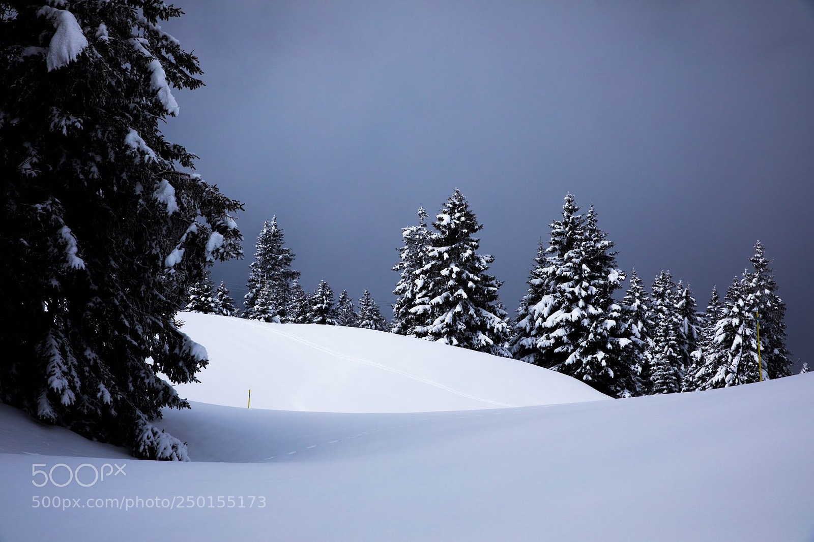Canon EOS 5D Mark IV sample photo. Winter photography