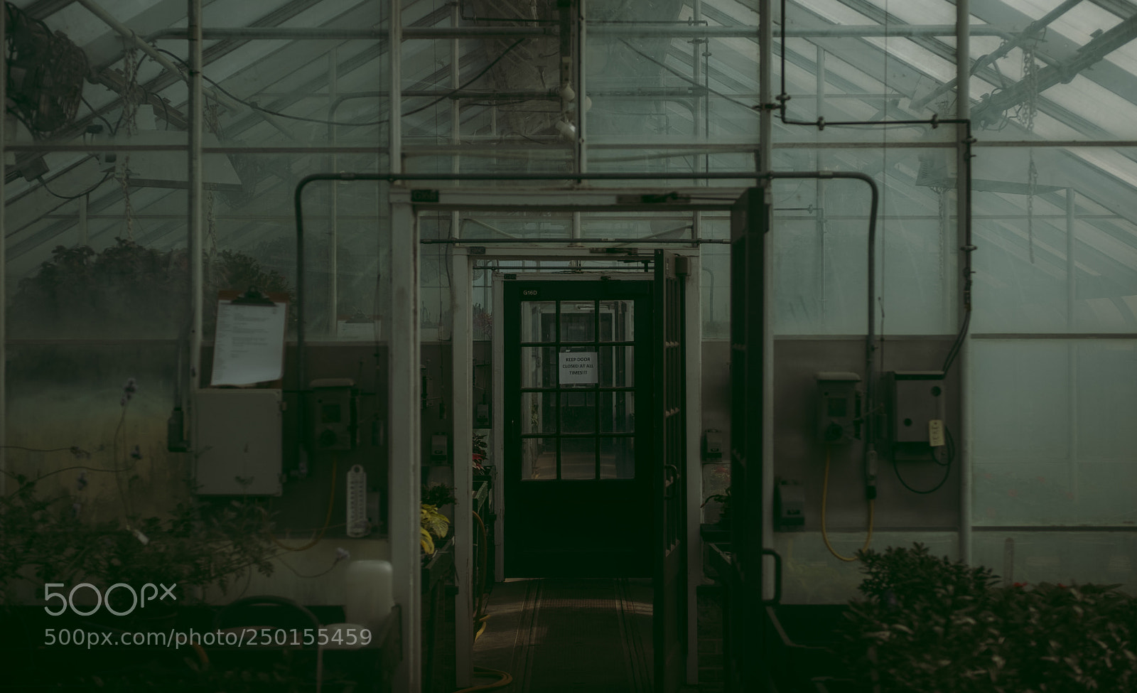 Fujifilm X-Pro2 sample photo. Inception photography