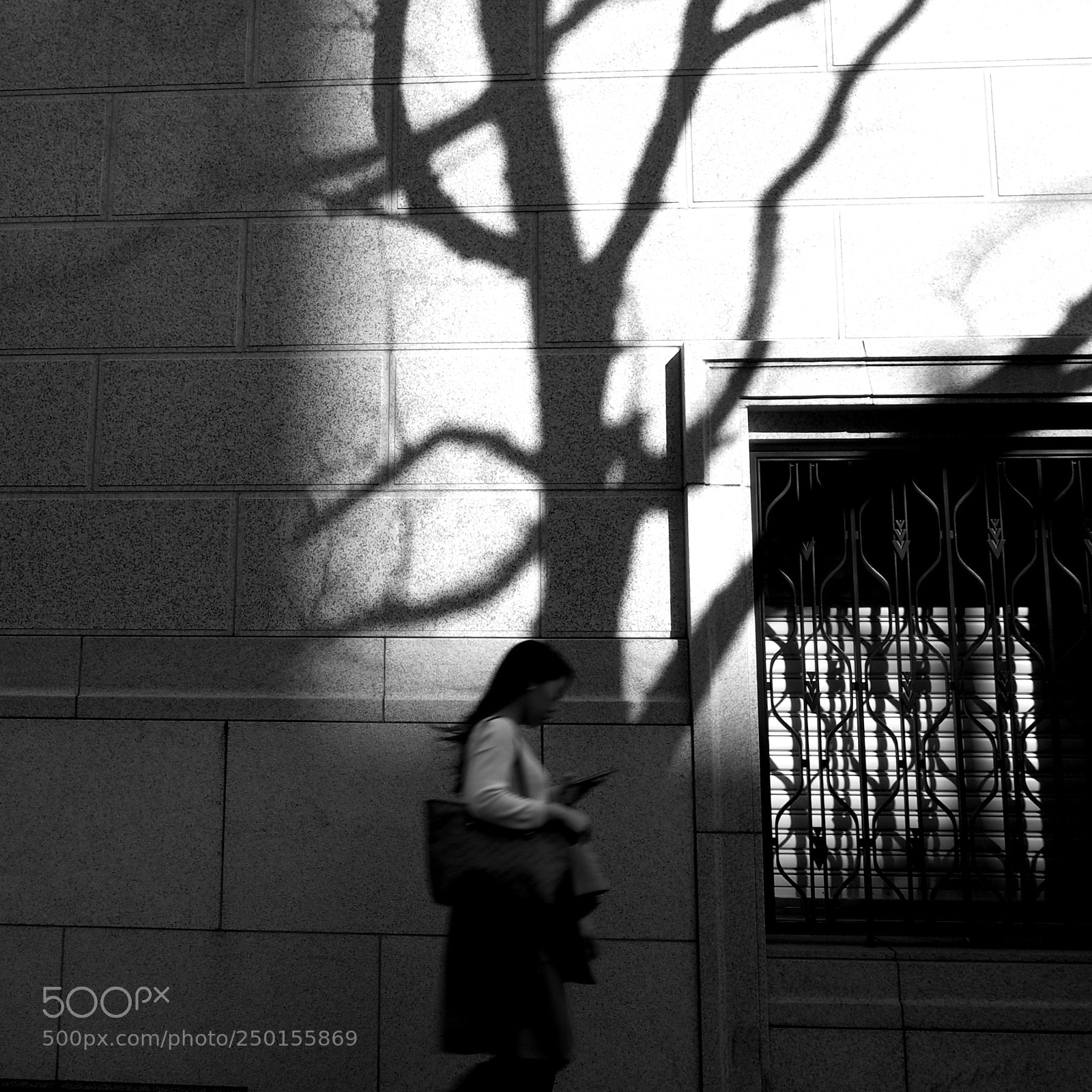 Olympus OM-D E-M1 sample photo. Light and shadow#9 photography