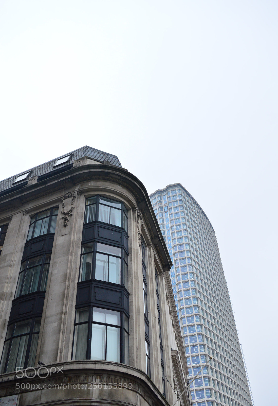 Nikon D3200 sample photo. Untitled photography