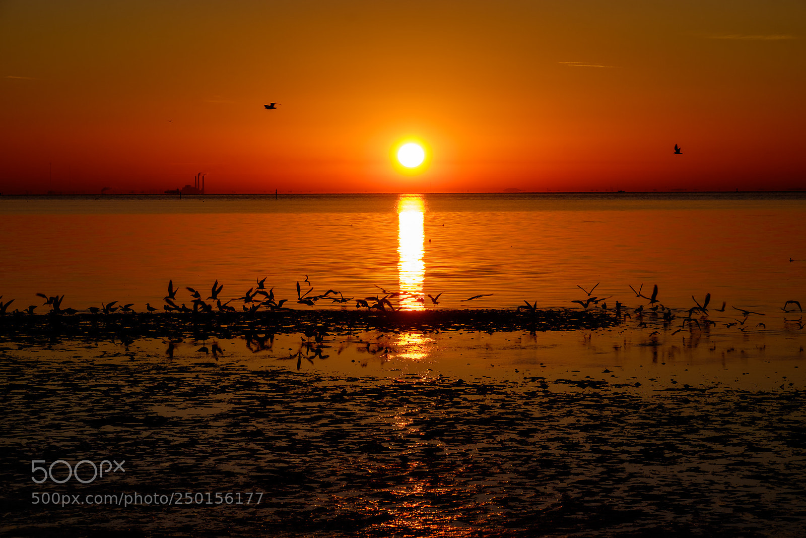 Fujifilm X-T1 sample photo. Sunrise photography