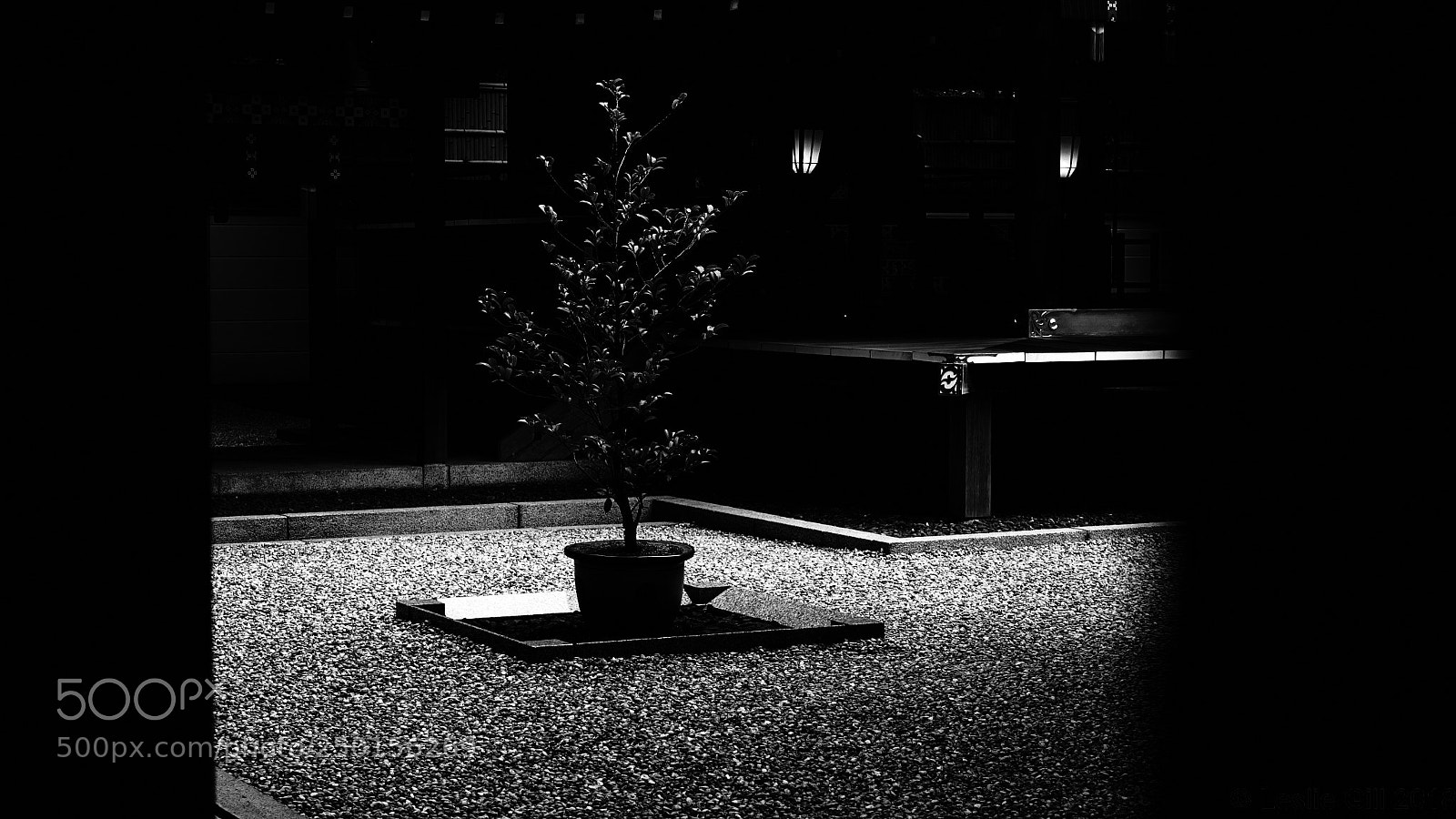 Sony DSC-RX100M5 sample photo. Nogi shrine - inner photography