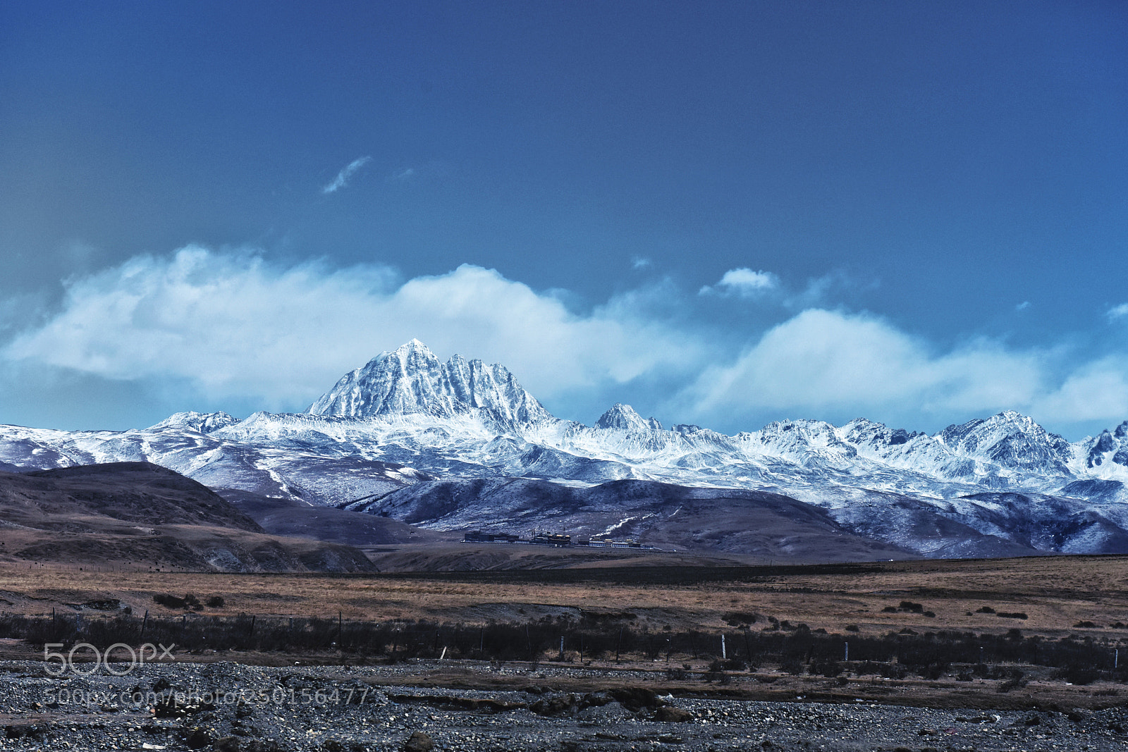 Nikon D810 sample photo. Untitled photography