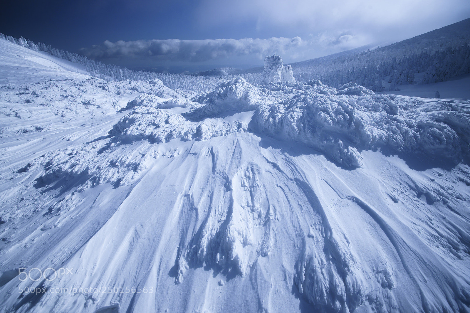Sony Alpha DSLR-A900 sample photo. After snow storm photography