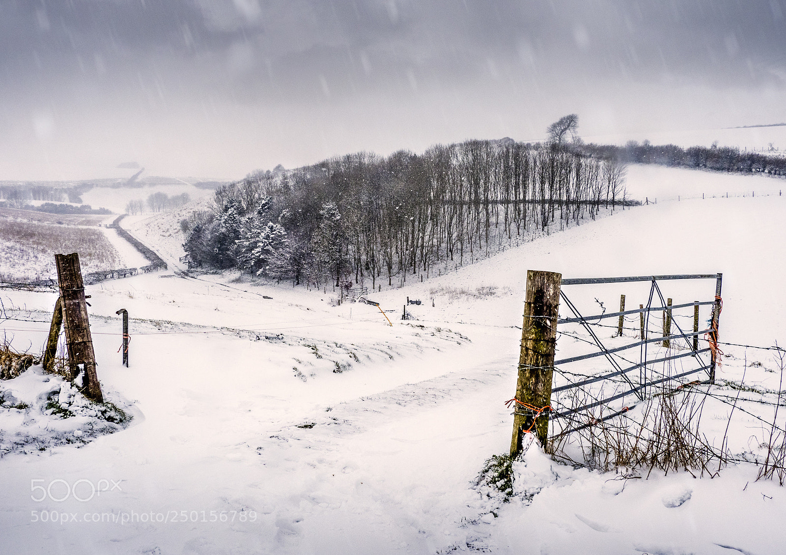 Olympus OM-D E-M1 Mark II sample photo. Snowing in the valley photography