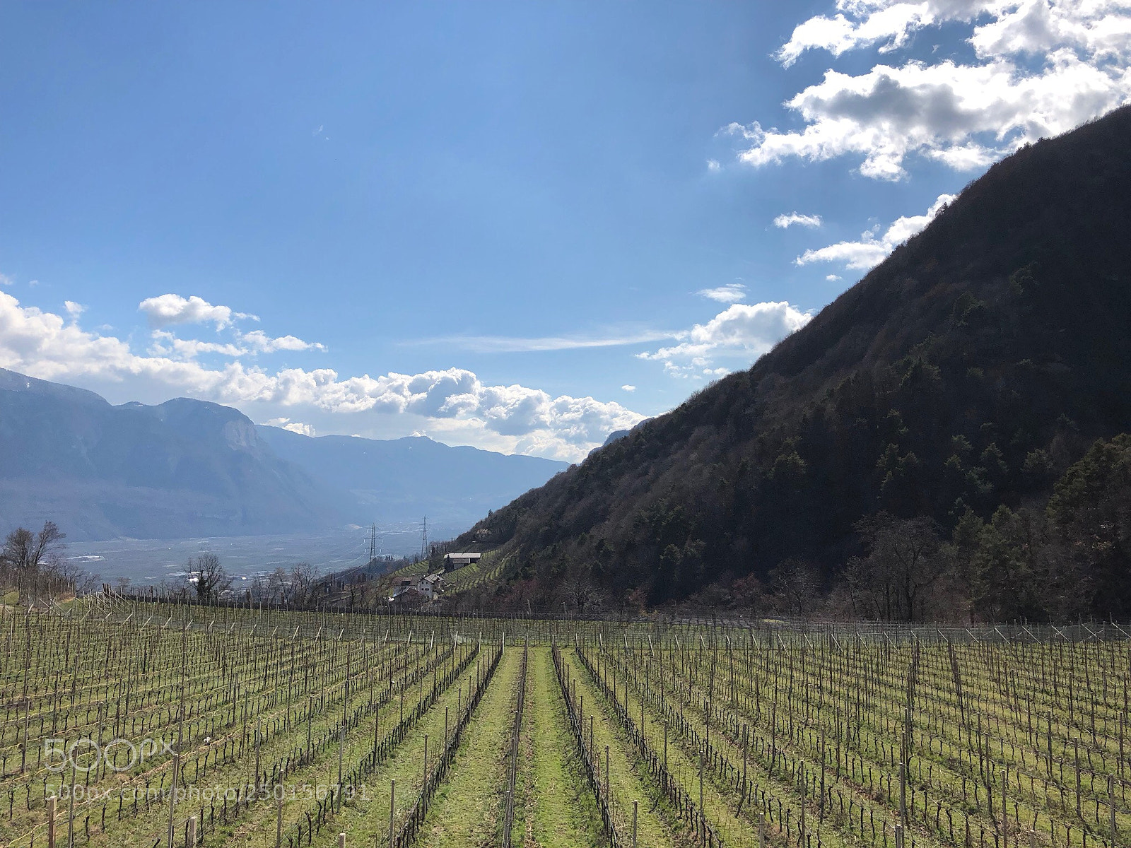 Apple iPhone 8 Plus sample photo. Early spring in south photography