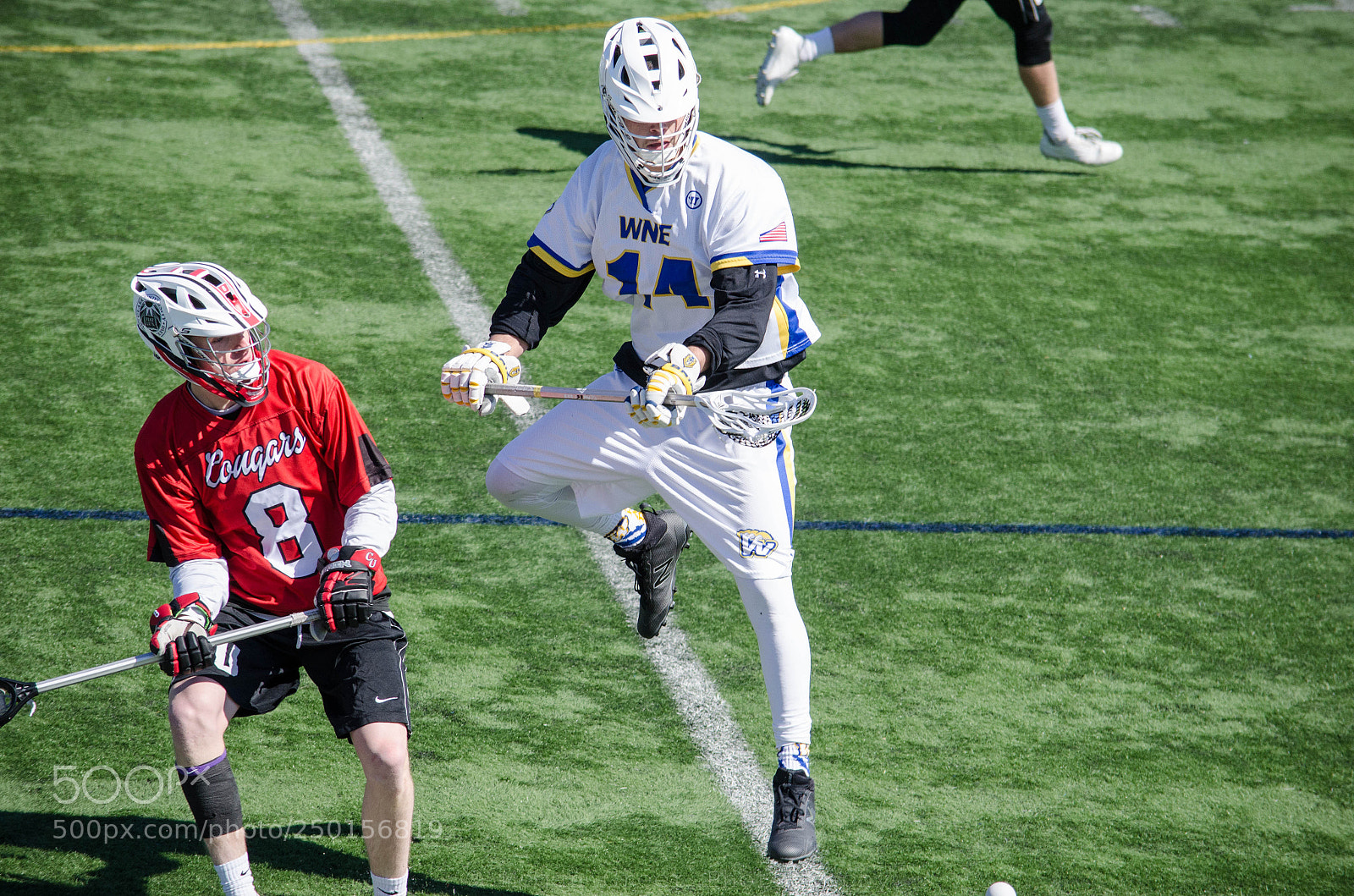 Nikon D5100 sample photo. Wne lacrosse photography