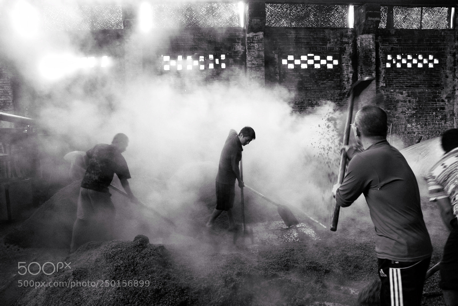 Nikon D80 sample photo. Workers photography