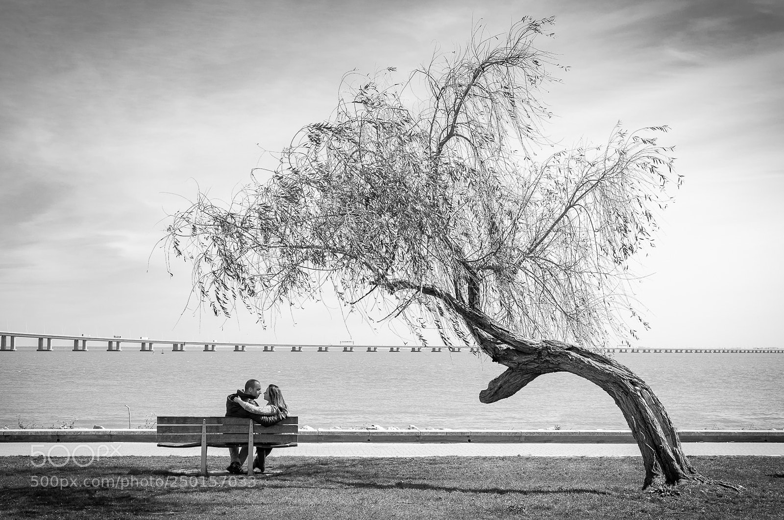 Nikon D90 sample photo. Under the tree photography
