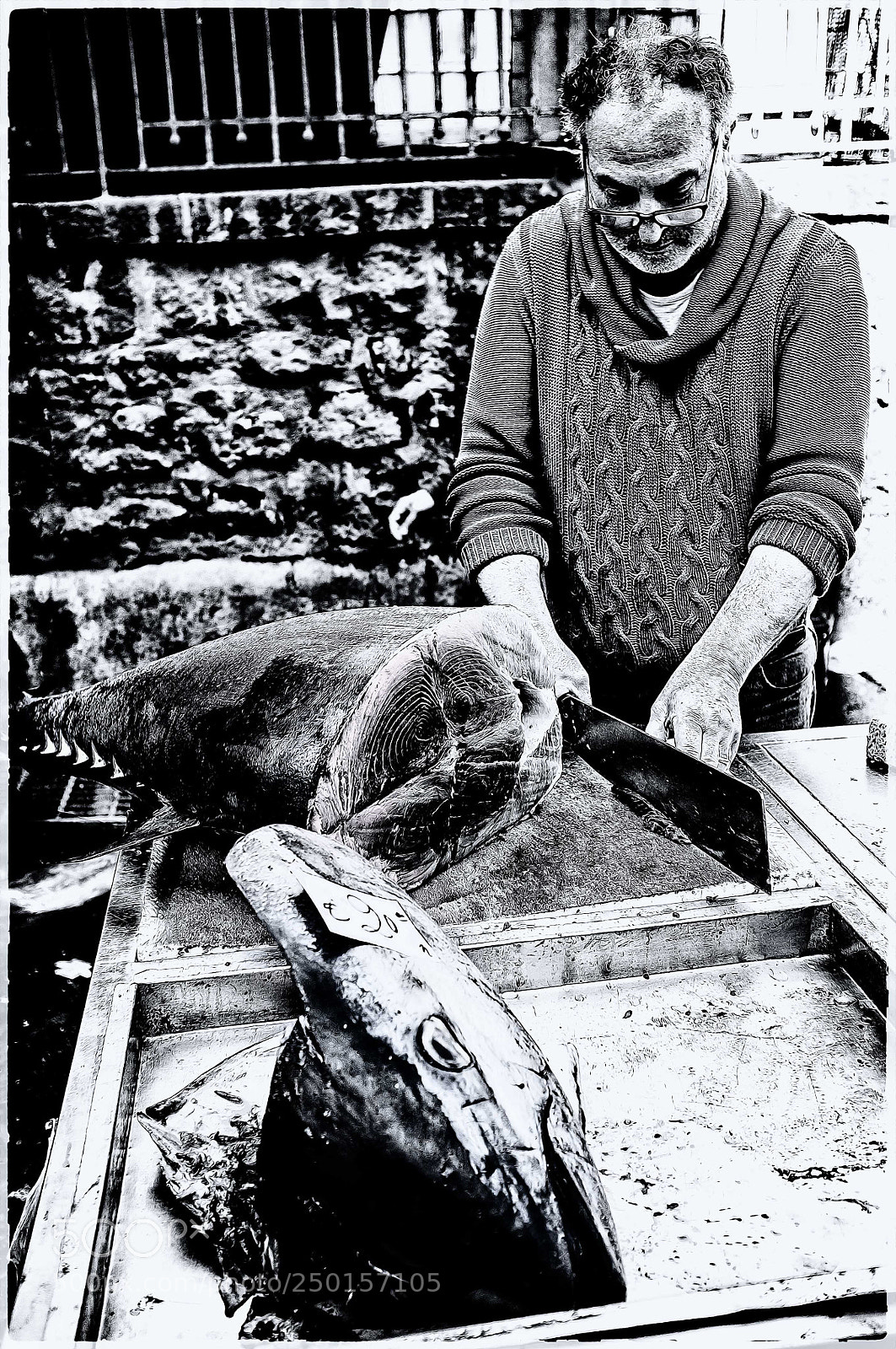Fujifilm FinePix X100 sample photo. Tuna photography