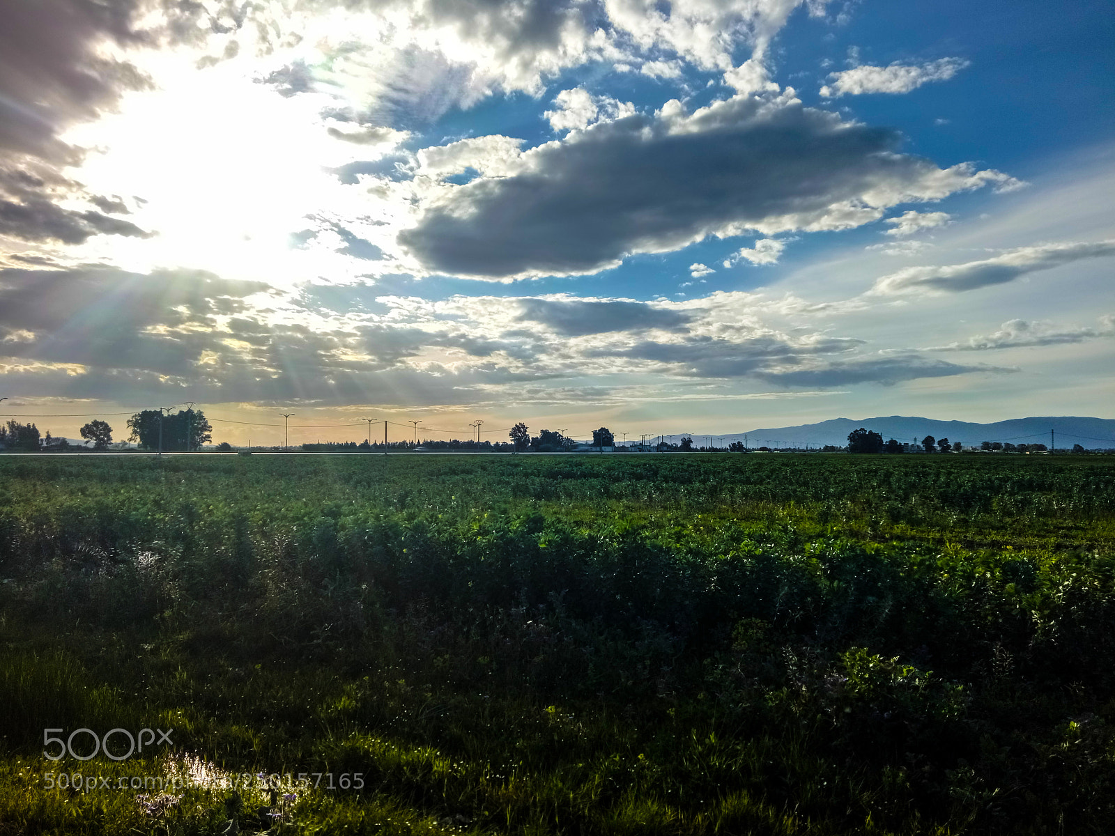 OPPO A1601 sample photo. Nature photography