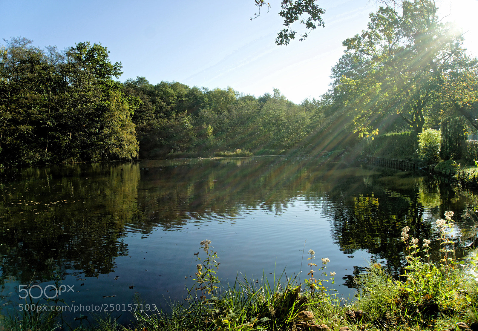 Sony a6000 sample photo. Sunbeams photography
