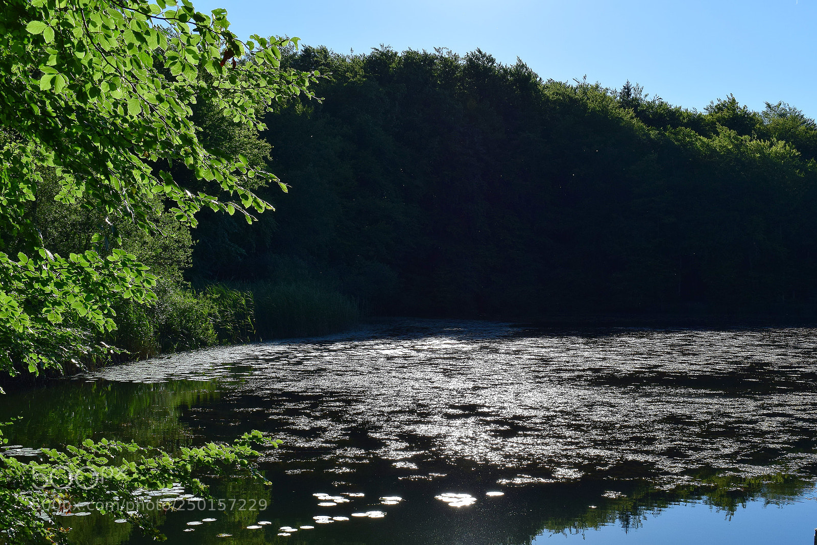 Nikon D3300 sample photo. Lac sauvage photography