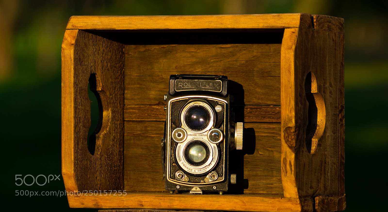 Canon EOS 700D (EOS Rebel T5i / EOS Kiss X7i) sample photo. Vintage photography