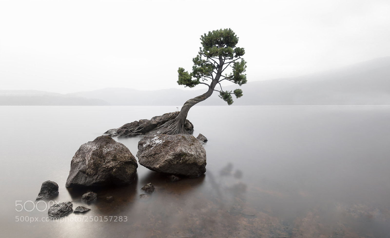 Canon EOS 5D Mark IV sample photo. Lake tree photography