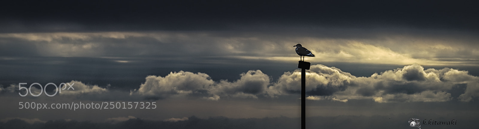 Sony a9 sample photo. A good day's departure photography