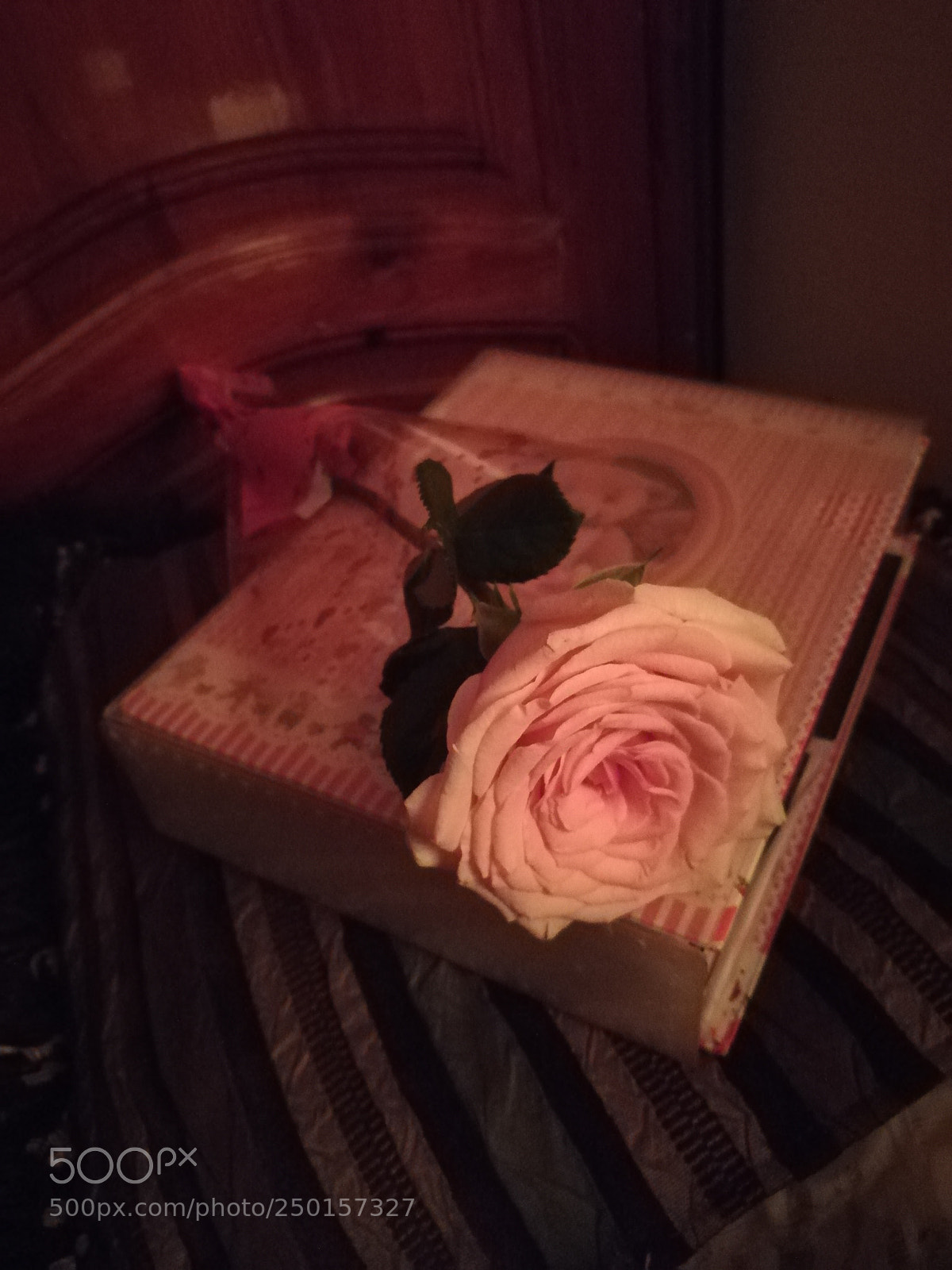 HUAWEI honor 6x sample photo. Mothers day flower photography