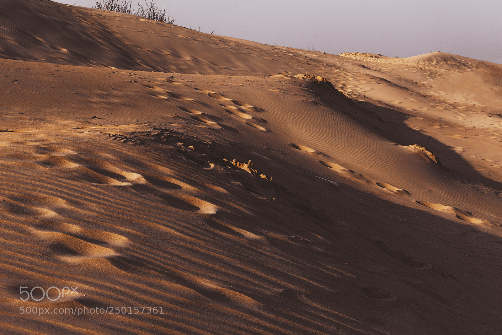 Canon EOS 30D sample photo. Dune photography