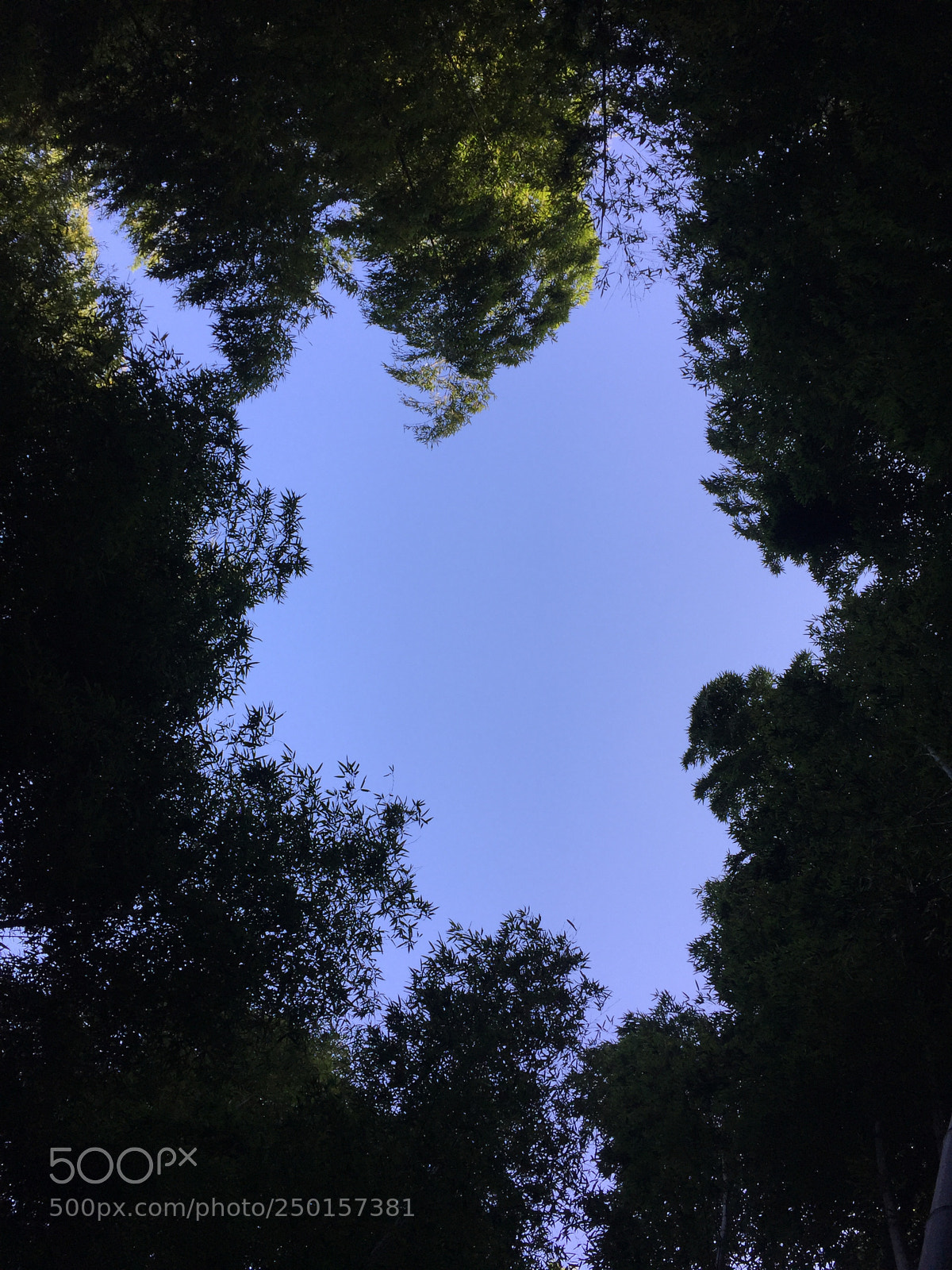 Apple iPhone 6 Plus sample photo. Untitled photography