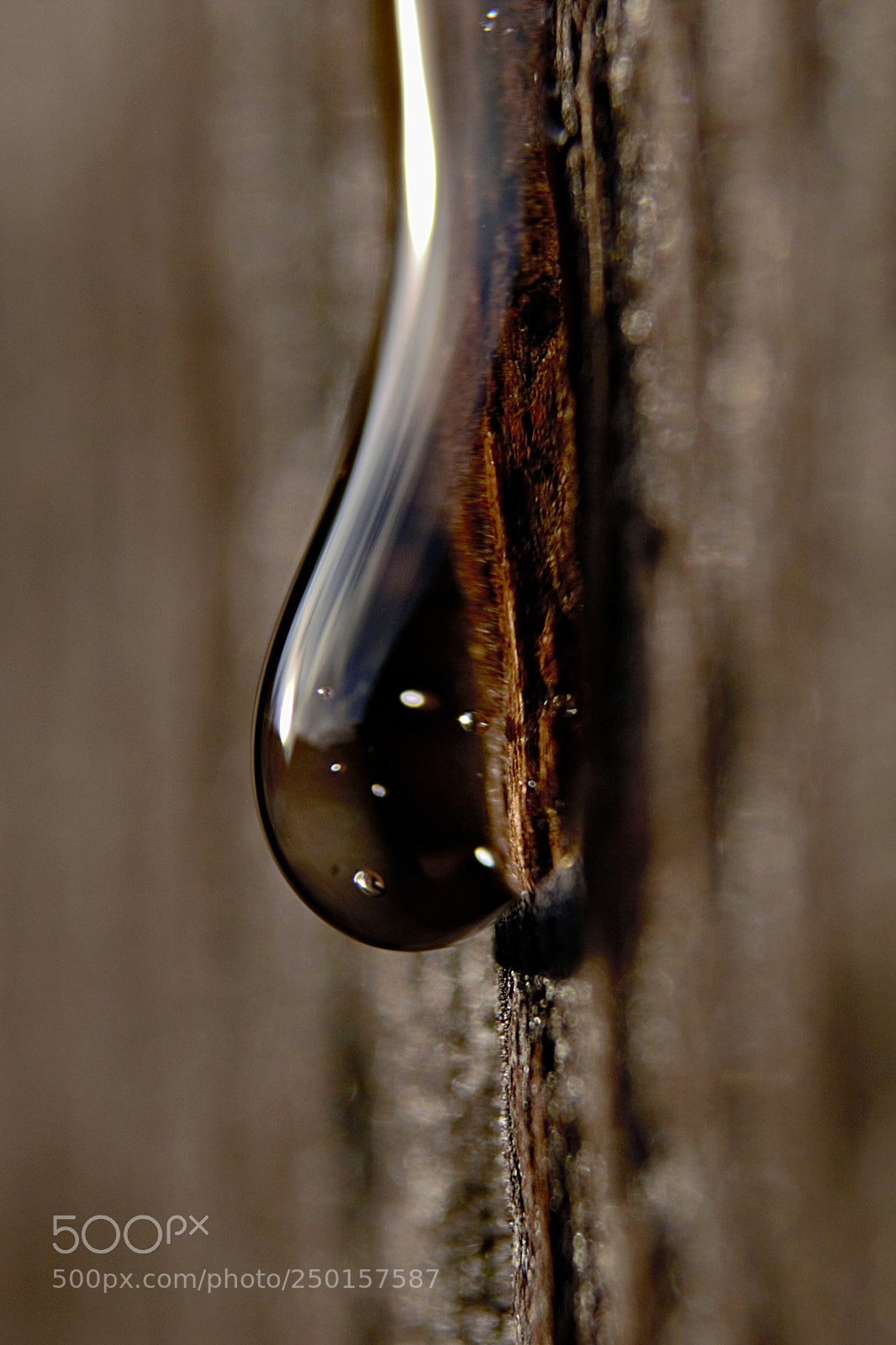 Nikon D3100 sample photo. Tear. photography