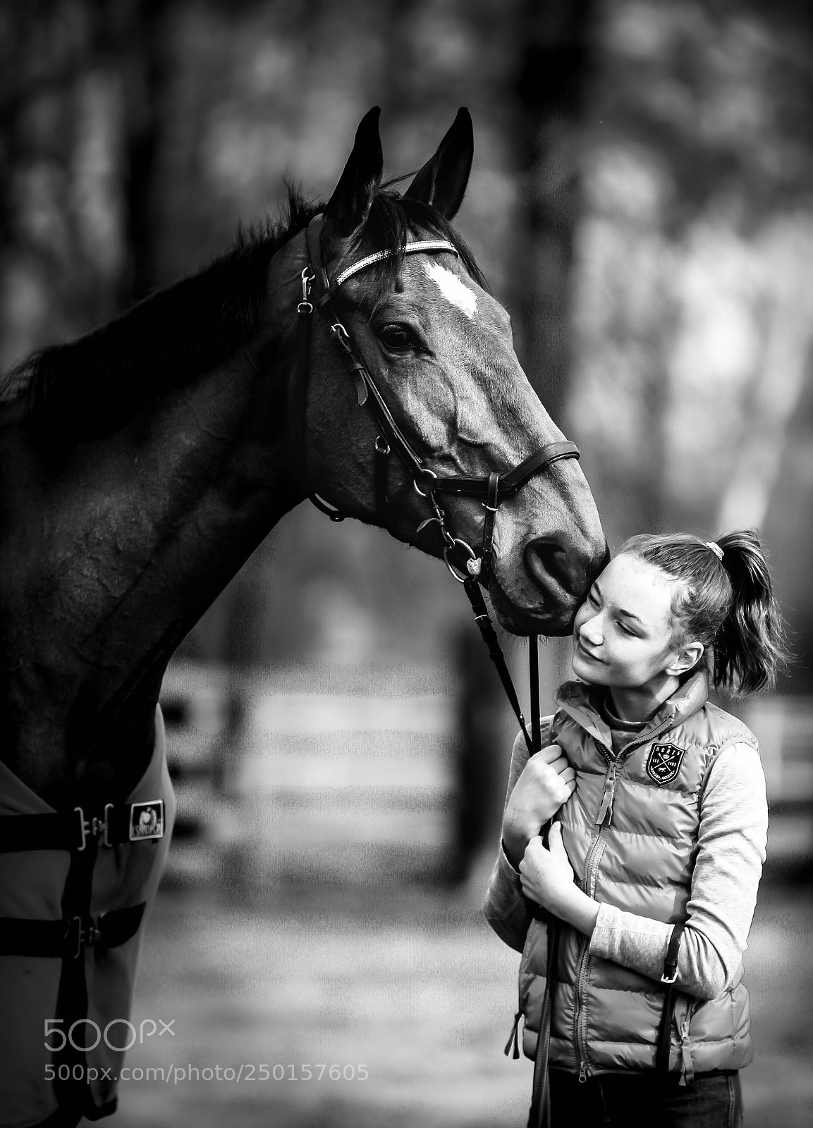 Canon EOS 600D (Rebel EOS T3i / EOS Kiss X5) sample photo. Horses photography