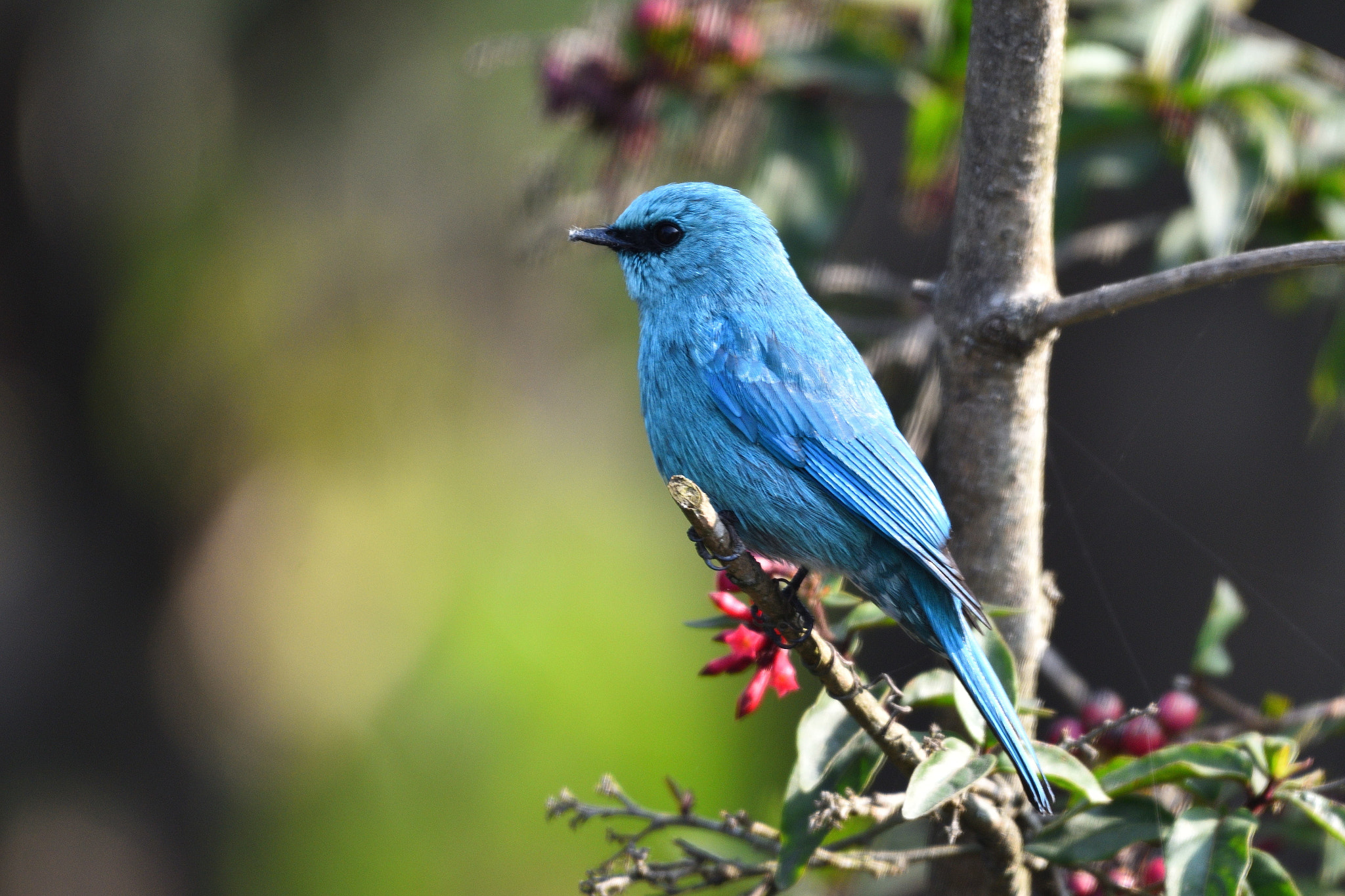 Nikon D7200 + Nikon AF-S Nikkor 200-500mm F5.6E ED VR sample photo. Dsc_4551_00001.jpg photography