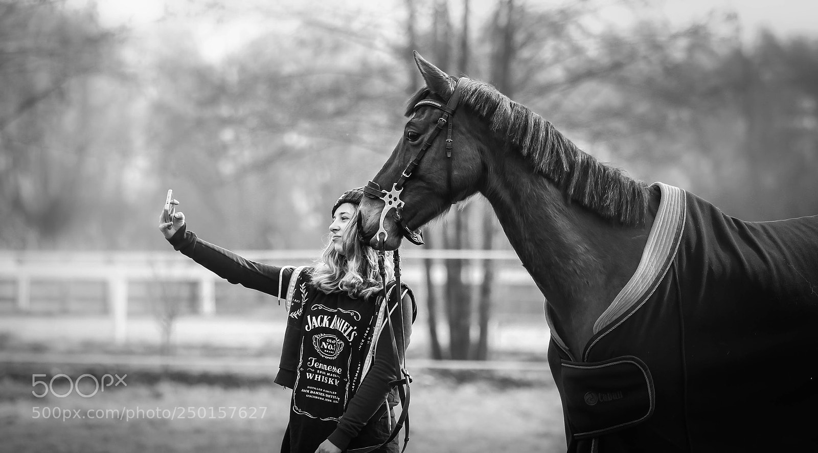 Canon EOS 600D (Rebel EOS T3i / EOS Kiss X5) sample photo. Horses photography