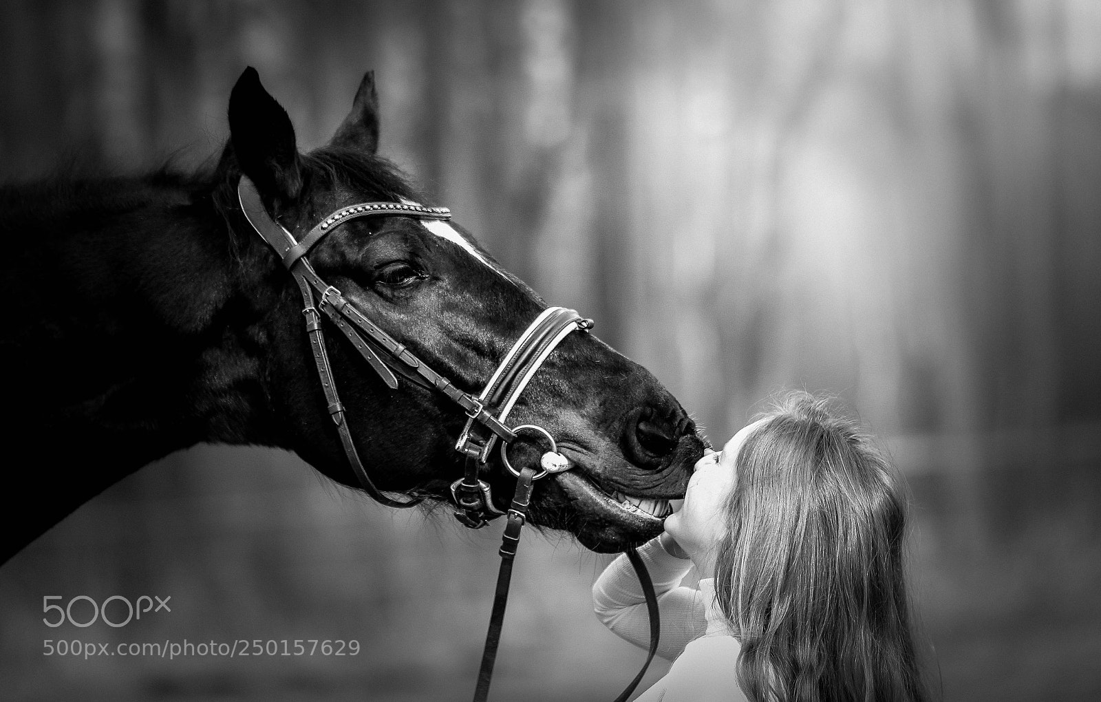 Canon EOS 600D (Rebel EOS T3i / EOS Kiss X5) sample photo. Horses photography
