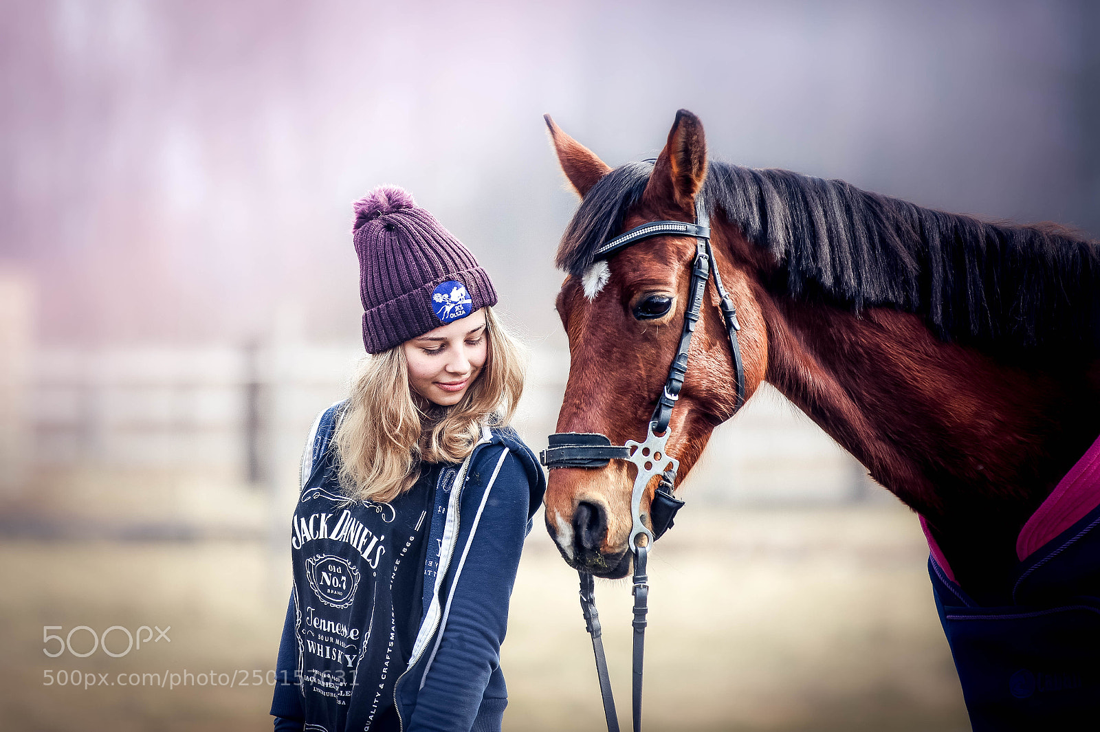 Canon EOS 600D (Rebel EOS T3i / EOS Kiss X5) sample photo. Horses photography