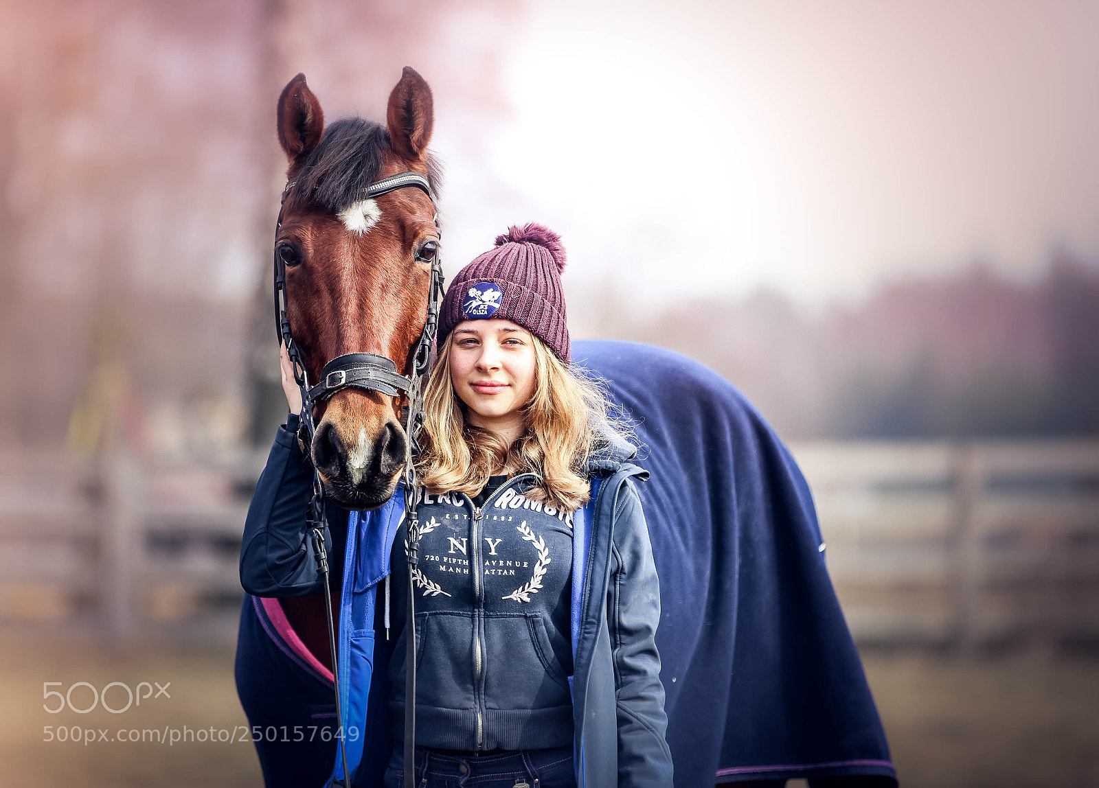 Canon EOS 600D (Rebel EOS T3i / EOS Kiss X5) sample photo. Horses photography