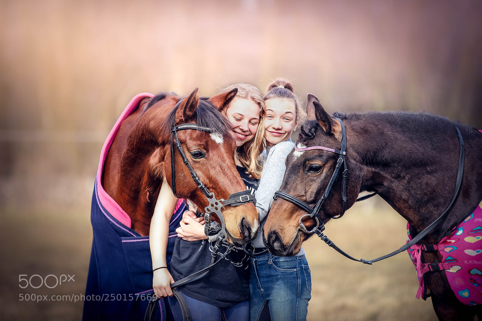 Canon EOS 600D (Rebel EOS T3i / EOS Kiss X5) sample photo. Horses photography