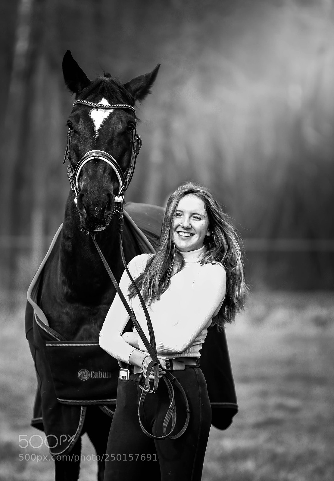 Canon EOS 600D (Rebel EOS T3i / EOS Kiss X5) sample photo. Horses photography