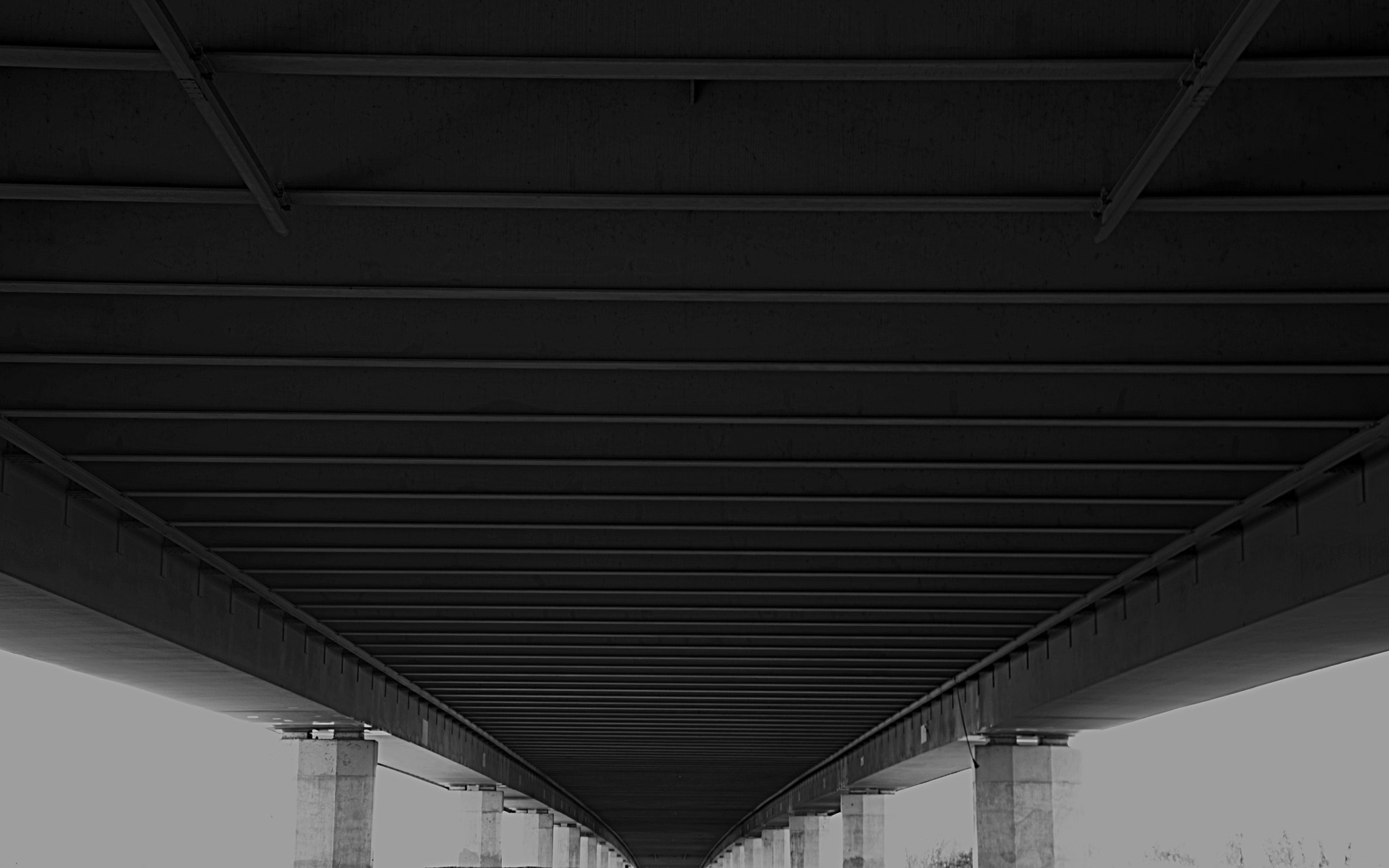 Nikon D3100 sample photo. Symmetry photography