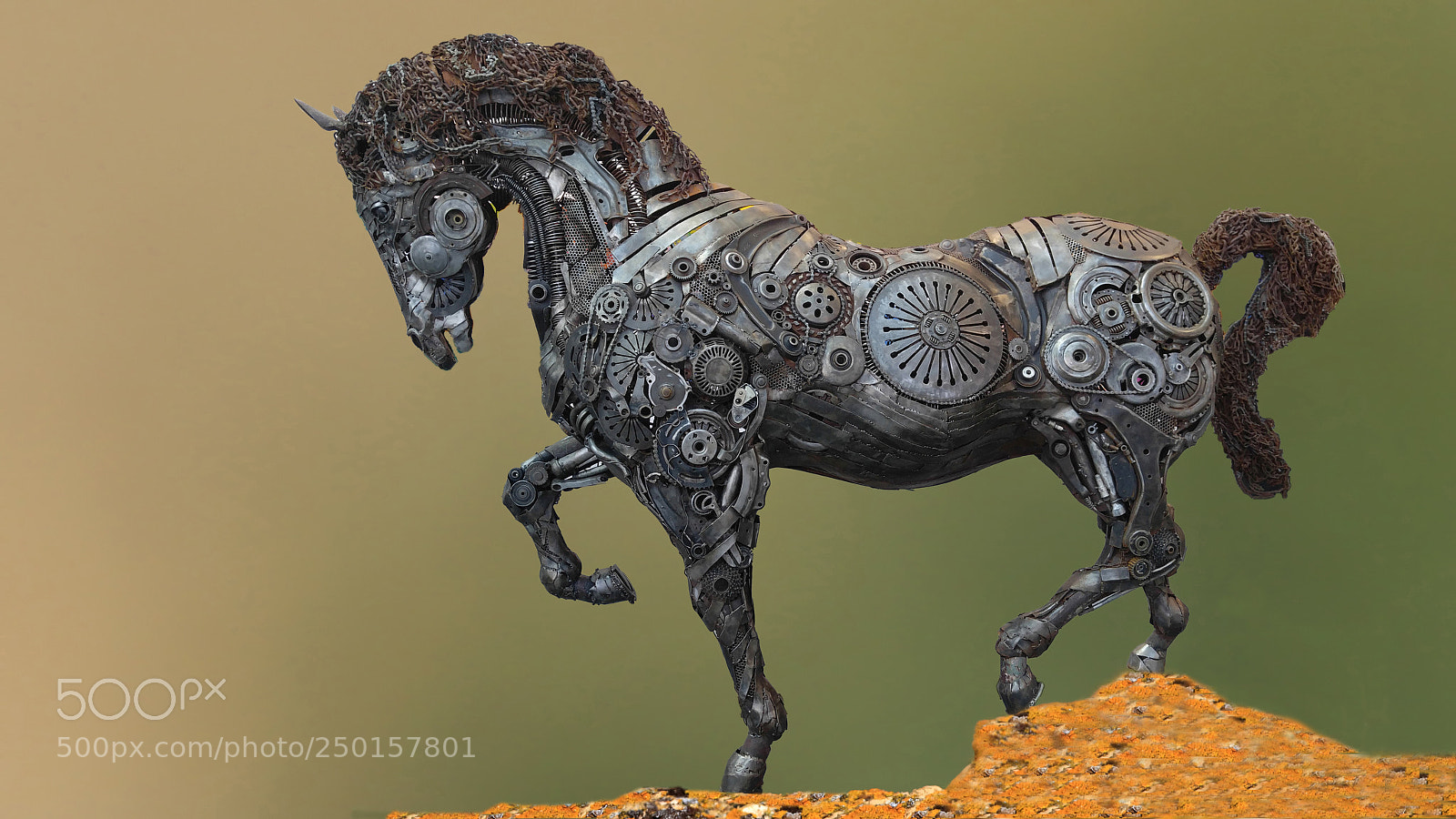 Canon EOS 7D Mark II sample photo. Iron hourse photography